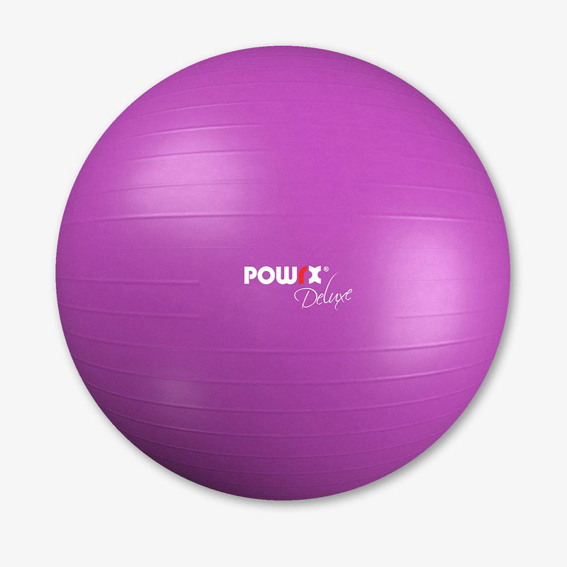 Exercise ball deluxe